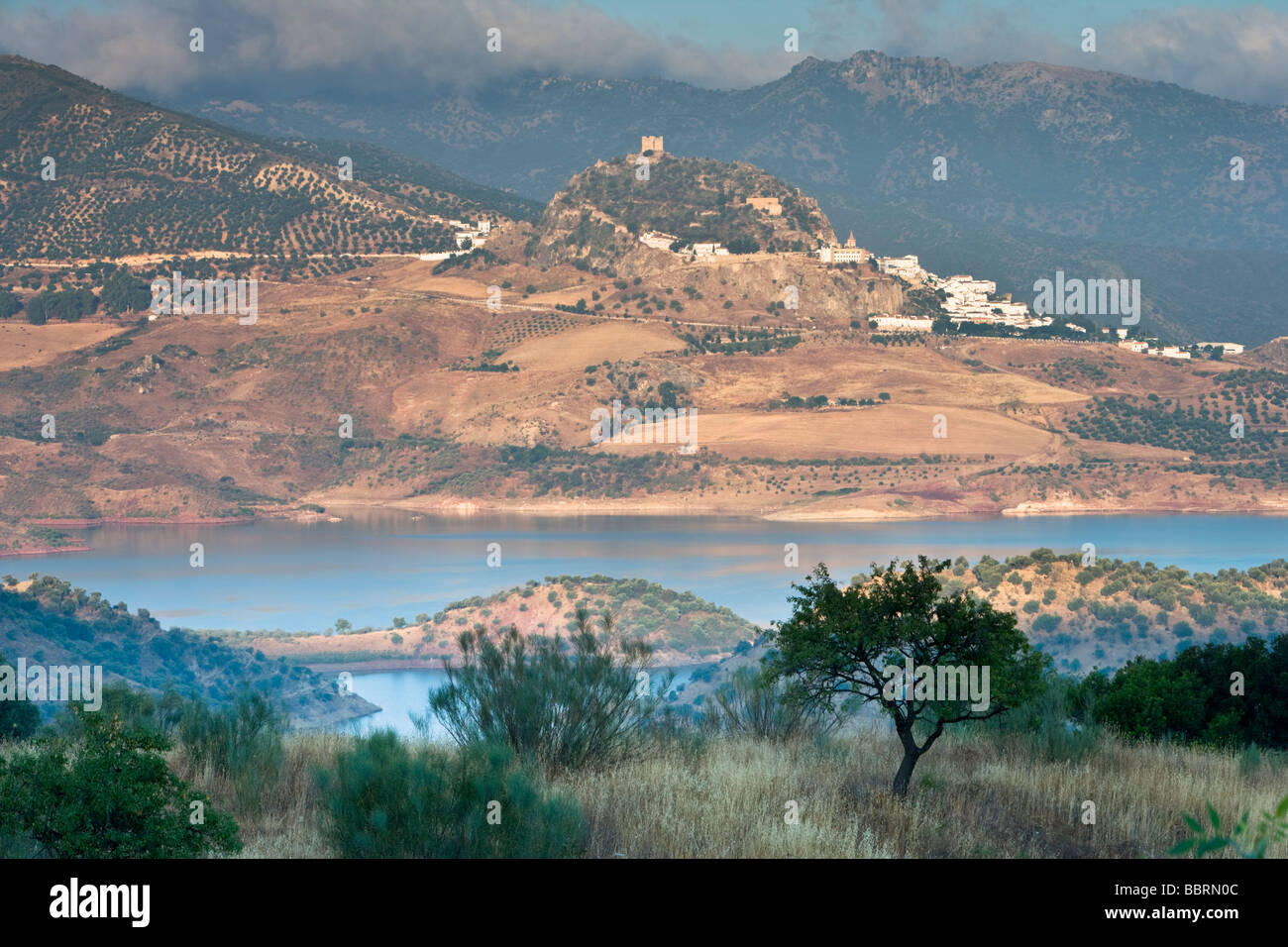 Der Embalse de Zahara - El Gastor, der Rand des Parque Natural Sierra de Grazalema & Zahara, Provinz Cádiz, Andalusien, Spanien. Stockfoto