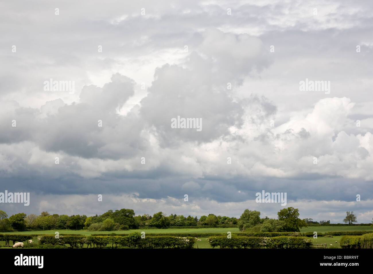 Englisch Sommer Himmel mit interessanten Wolken Stockfoto