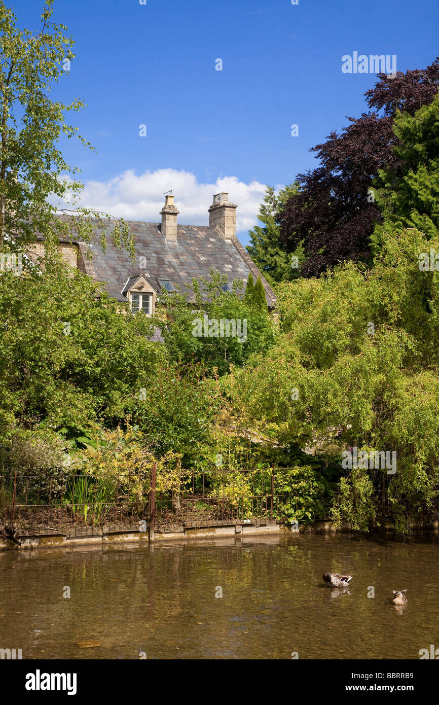Bourton-on-the-Water View, River Windrush mit Enten Stockfoto