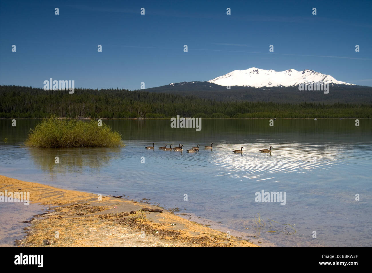 Diamond Peak Oregon von Mondsichelsee Stockfoto