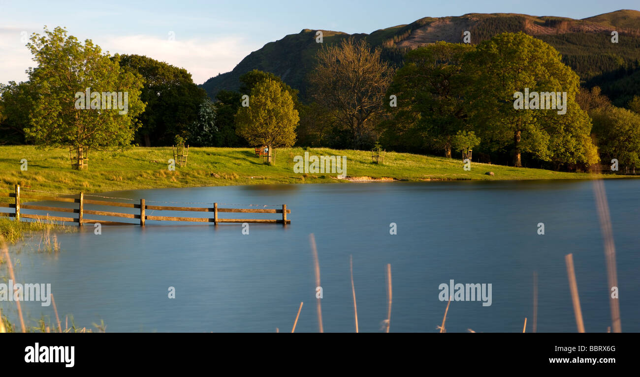Bassenthwaite Lake, Lake District. Cumbria. England. Europa Stockfoto