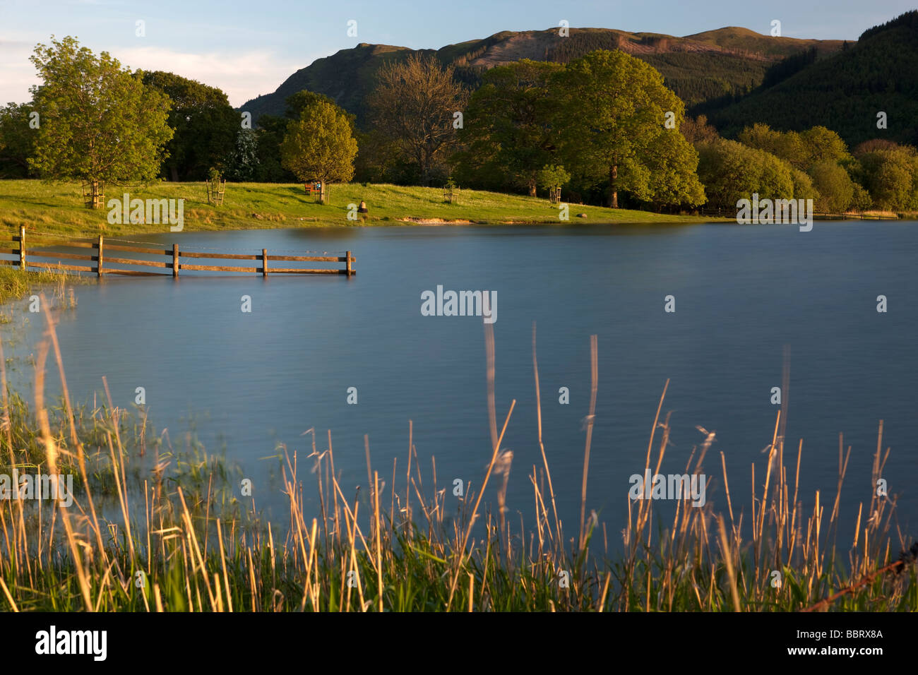 Bassenthwaite Lake, Lake District. Cumbria. England. Europa Stockfoto