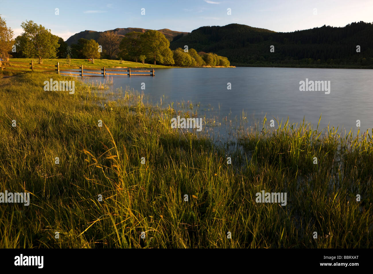Bassenthwaite Lake, Lake District. Cumbria. England. Europa Stockfoto