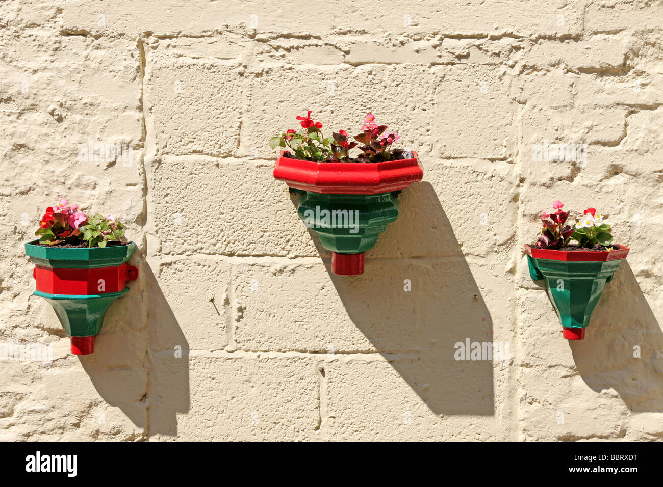 Altes Gusseisen Dachrinnen Fallrohr Gelenke als Blumentöpfe verwendet Stockfoto