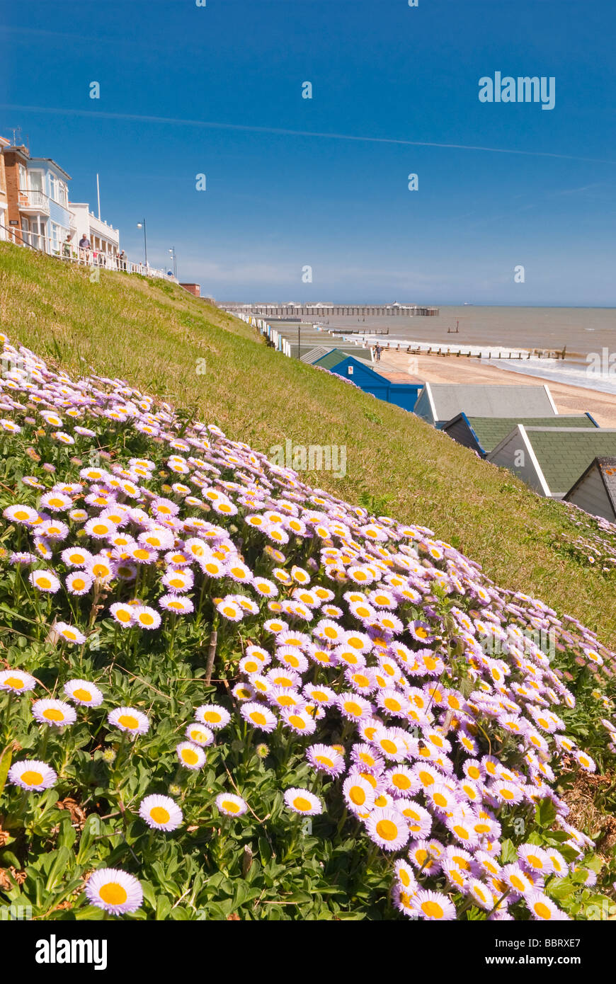 Ein Blick auf Southwold Strandpromenade am Meer mit dem Pier im Hintergrund und Blumen im Vordergrund im Frühjahr im Vereinigten Königreich Stockfoto