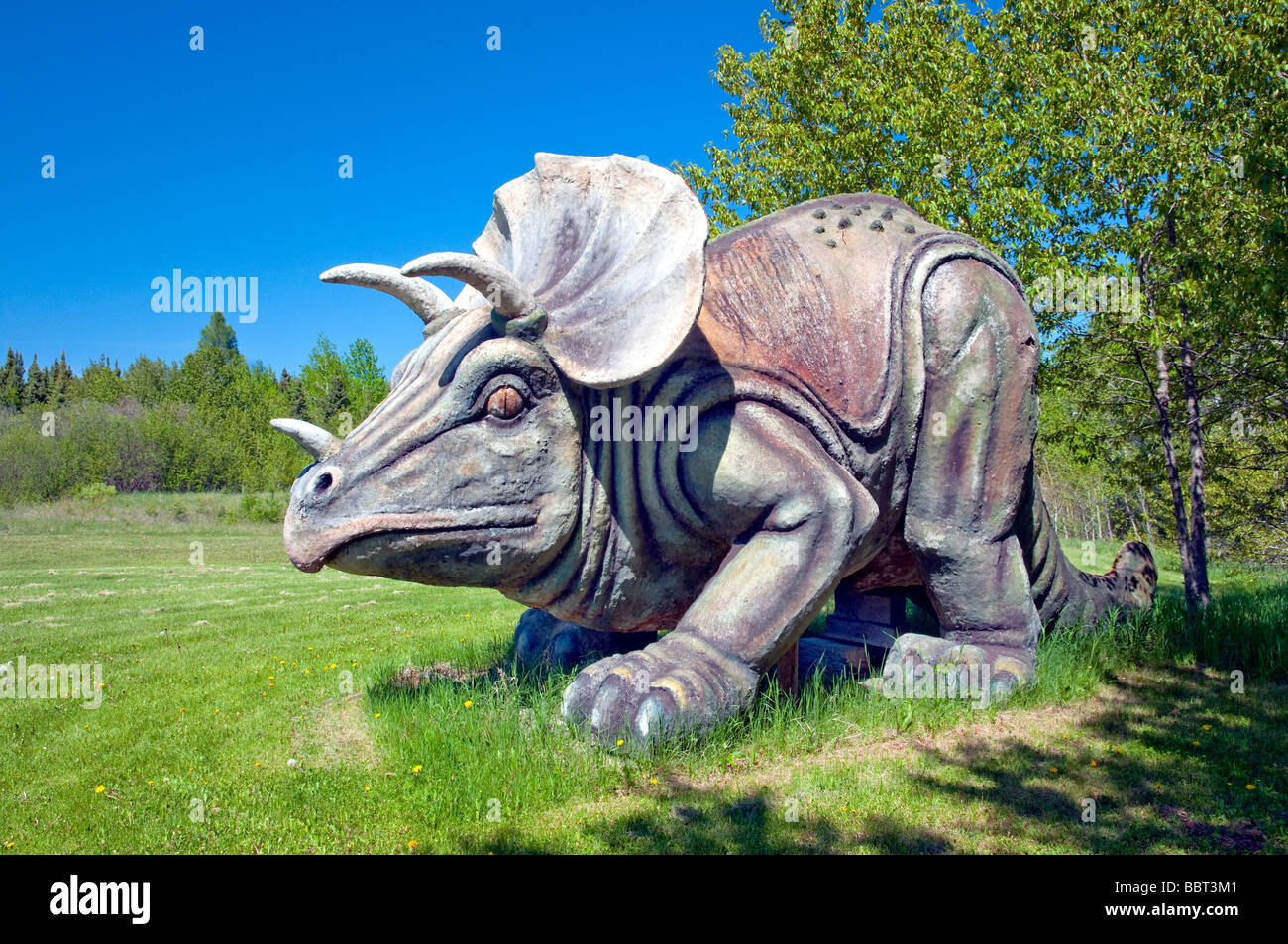 Ein Dinosaurier-Skulptur auf einer Lichtung im Busch in der Nähe von East Braintree, Manitoba, Kanada. Stockfoto