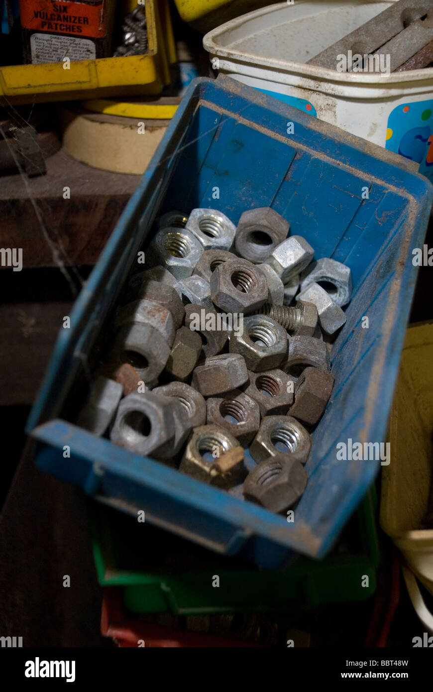 Wanne mit Nüssen Stockfoto
