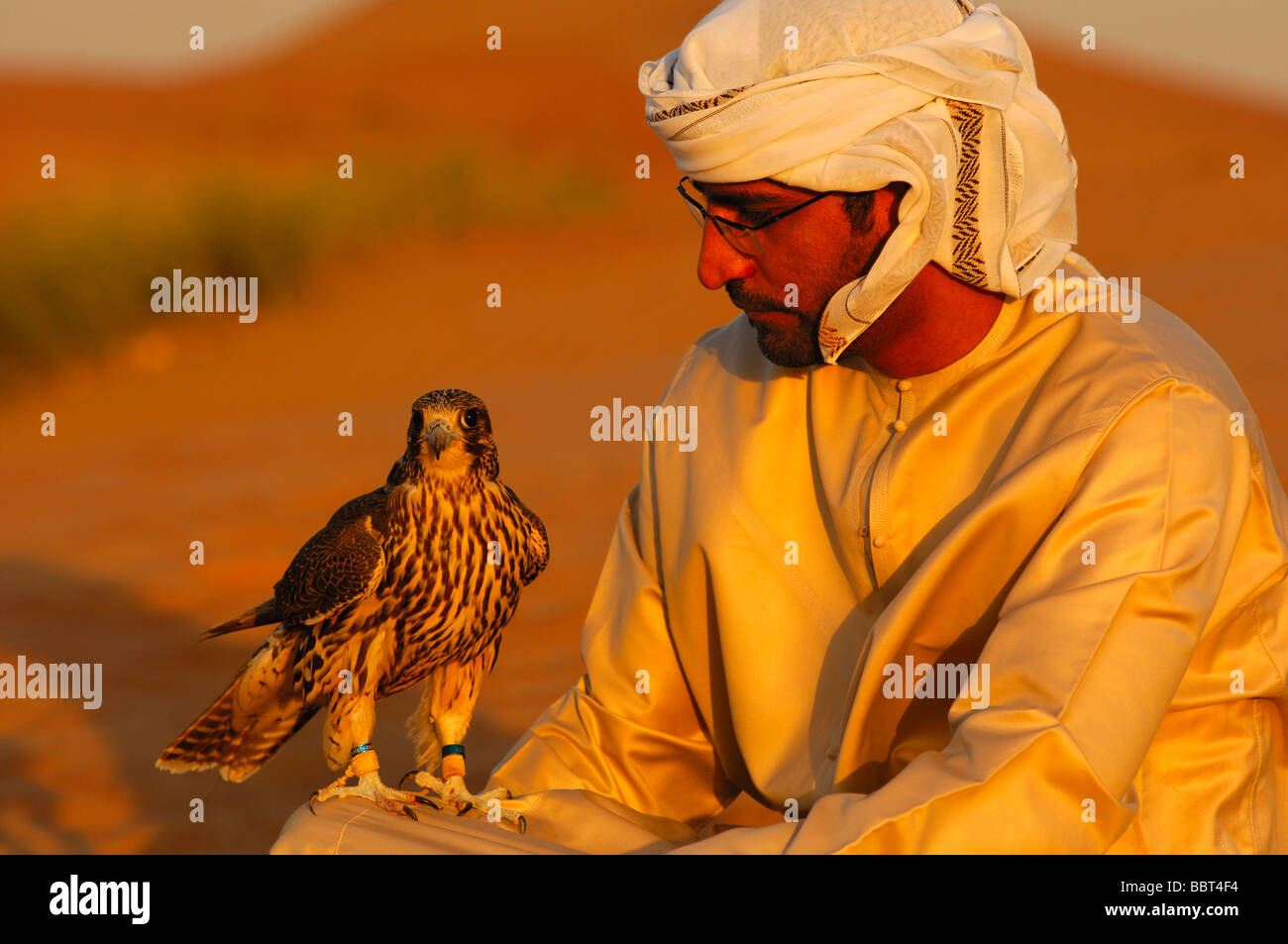 Sheik dubai falcon Fotos und Bildmaterial in hoher Auflösung Alamy