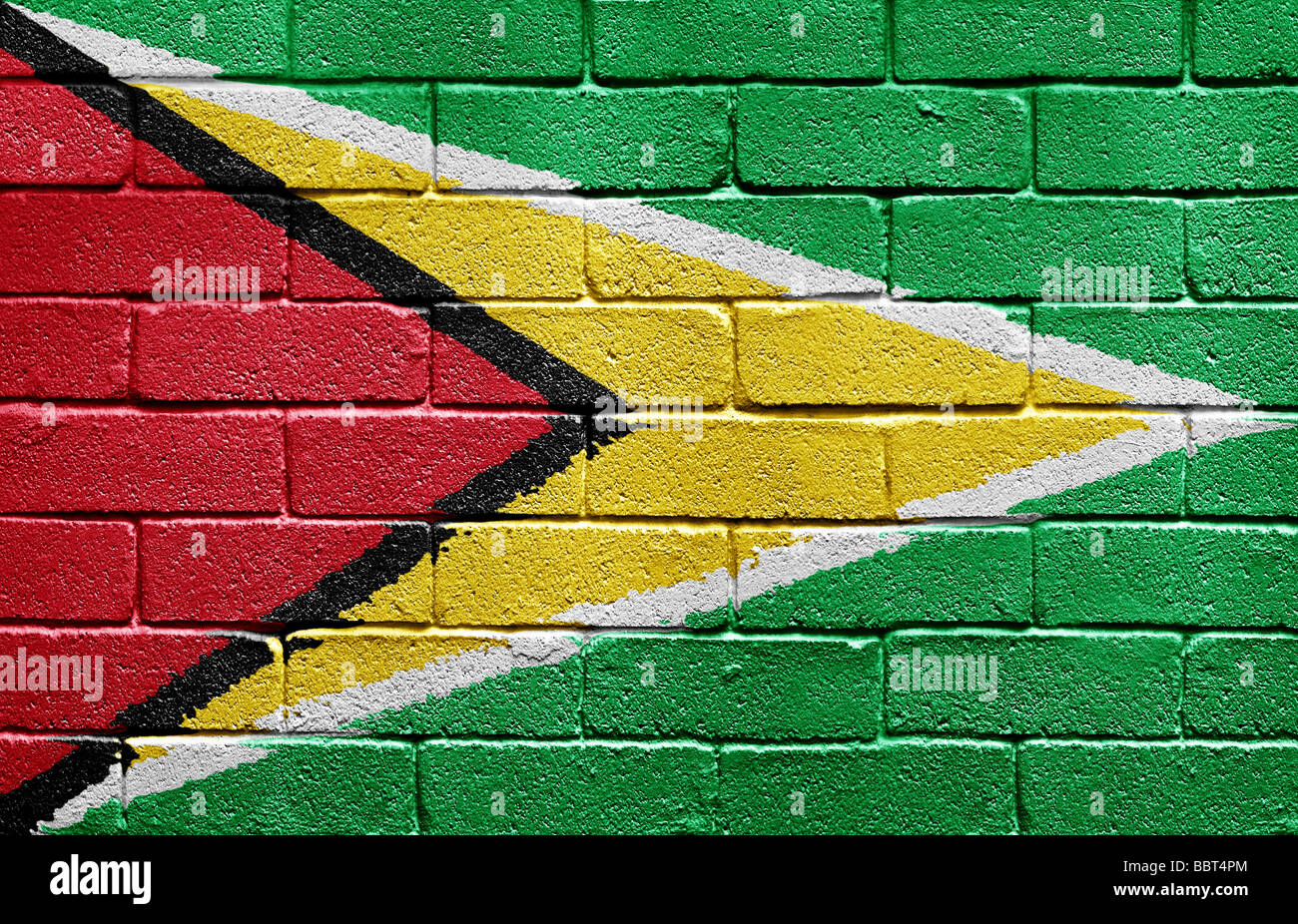 Flagge von Guyana Stockfoto