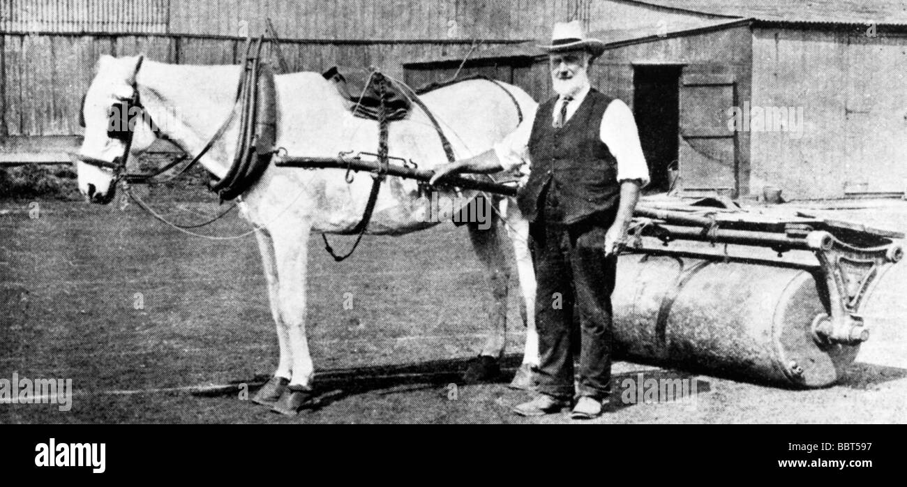 Platzwart und Roller Edwardian Foto von der Cricket-Kurator und seinem Pferd gezeichneten Walze voller Tatendrang Stockfoto