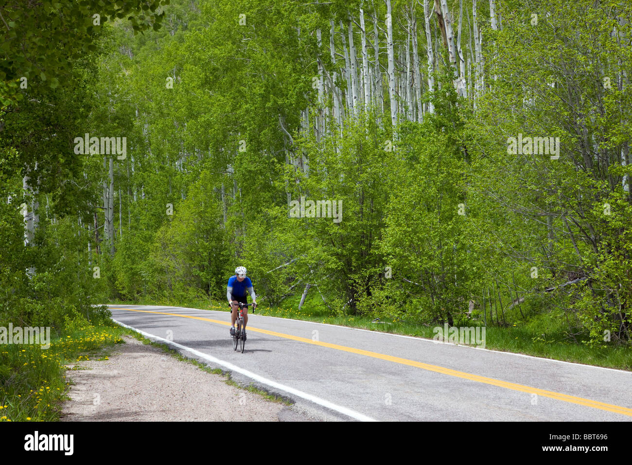 Radfahrer im Sommer auf Unabhängigkeit Pass Road Collegiate Peaks Region Pitkin County Colorado USA Stockfoto