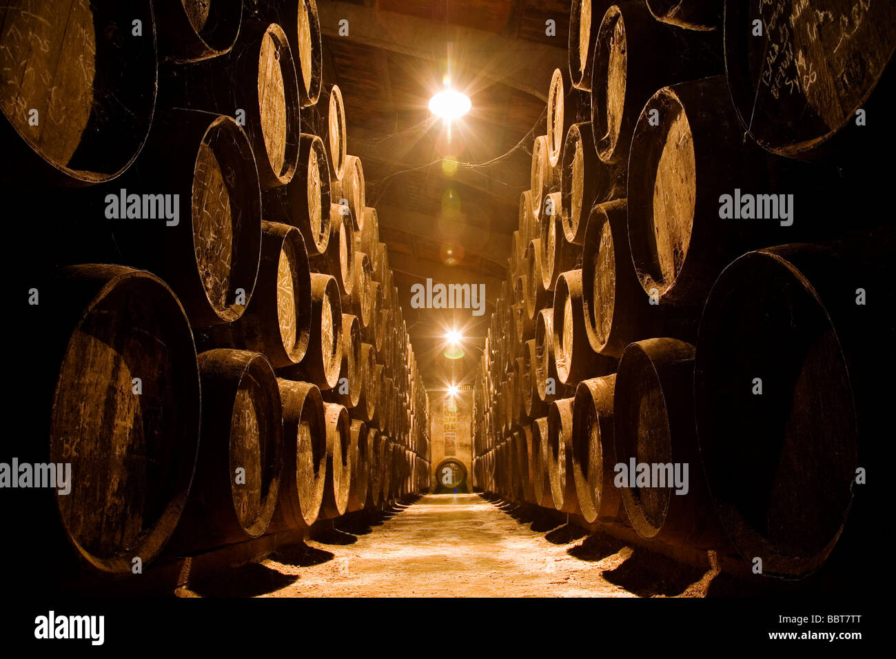 Weinkeller Toro Albala in Aguilar De La Frontera Cordova Andalusien Spanien Stockfoto