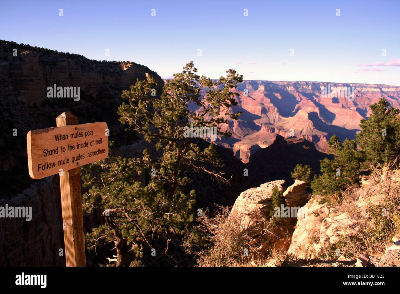 Der Gran Canyon Stockfoto
