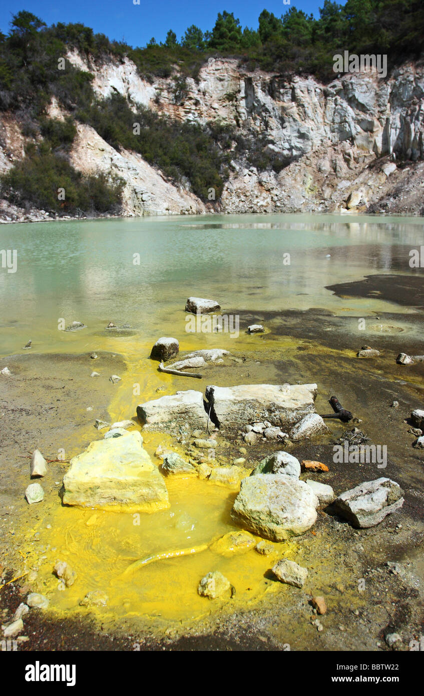 Künstler-Palette. Acyd grüne und gelbe Wasser in Wai-o-Tapu geothermal Park. Rotorua. Neuseeland Stockfoto