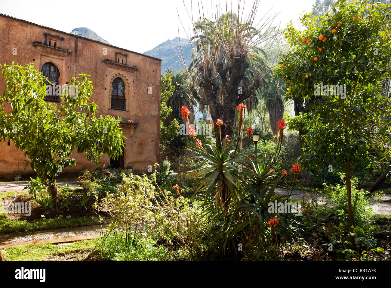 Kasbah Gärten, Chefchaouen, Marokko, Nordafrika Stockfoto
