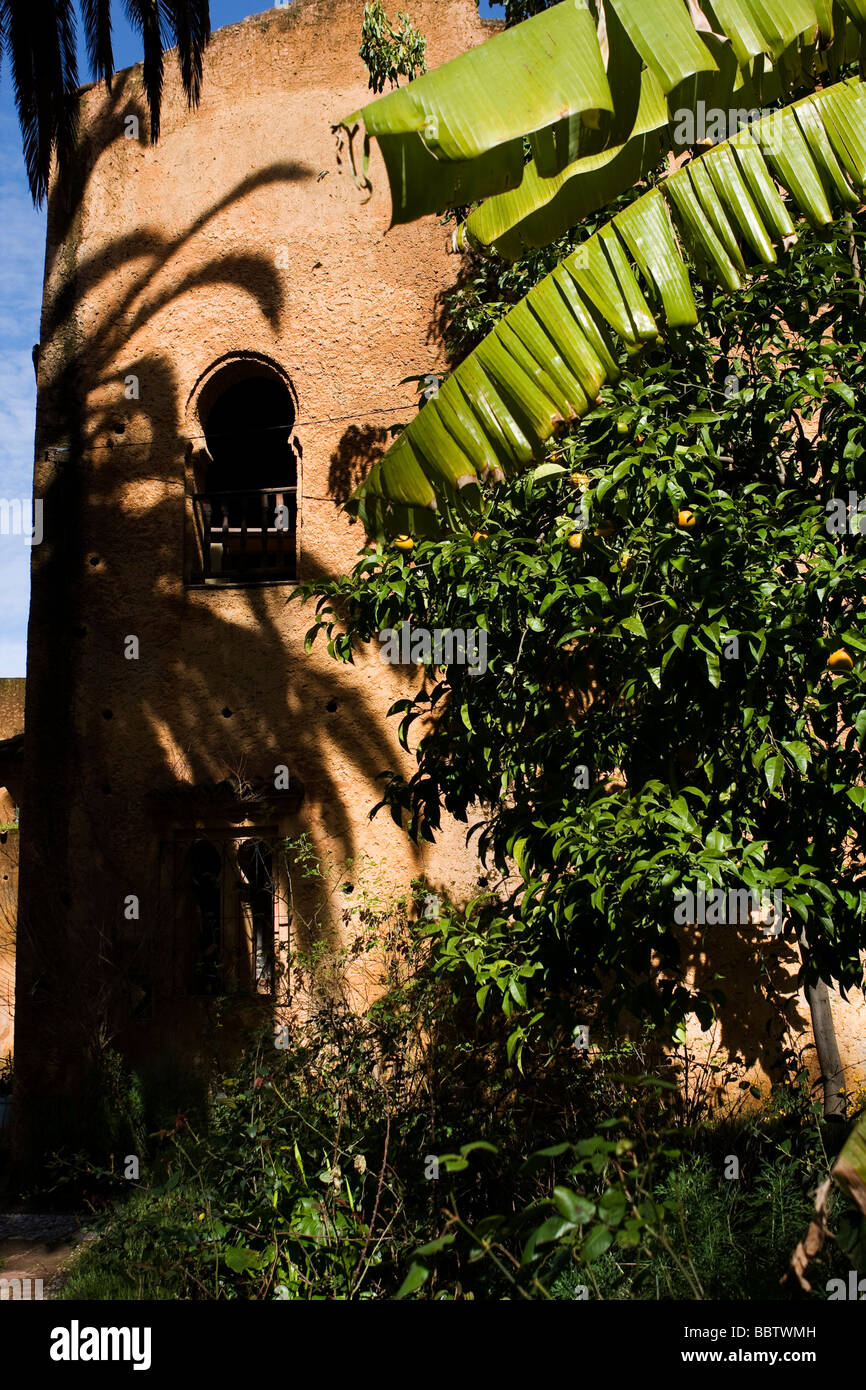 Kasbah Garten, Chefchaouen, Marokko, Nordafrika Stockfoto