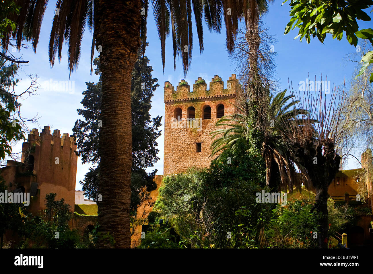Kasbah Gärten, Chefchaouen Marokko Nordafrika Stockfoto