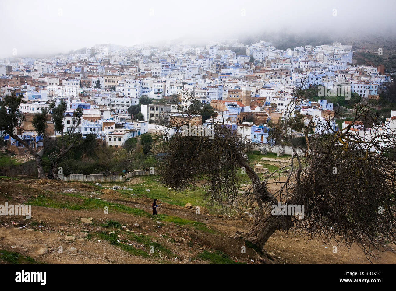 Chefchaouen, Marokko, Nordafrika Stockfoto