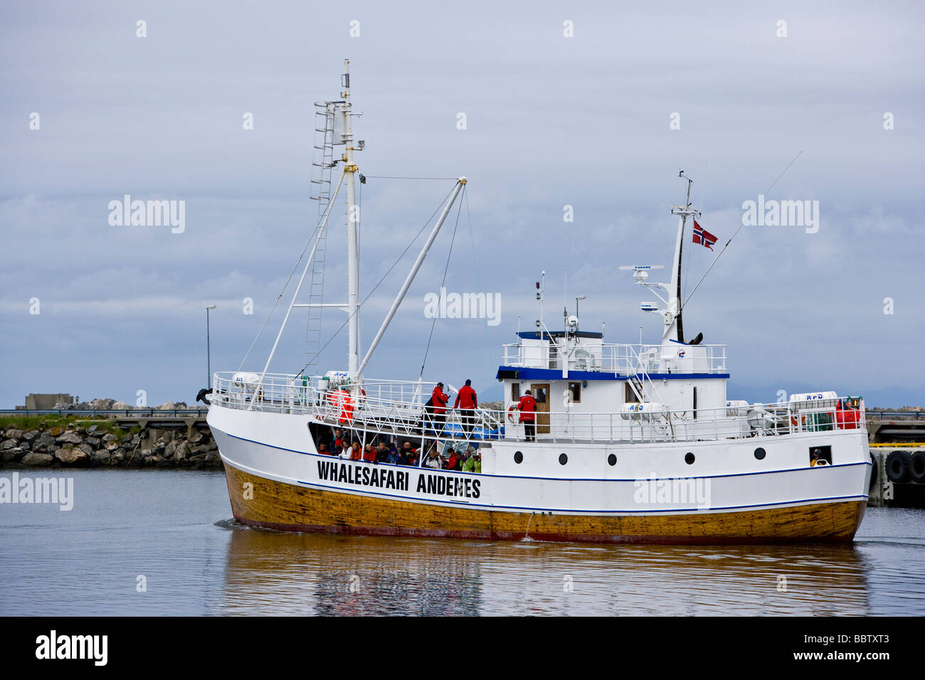Walbeobachtung Boot verlassen Andenes Hafen Vesterales Norwegen Juni 2008 Stockfoto