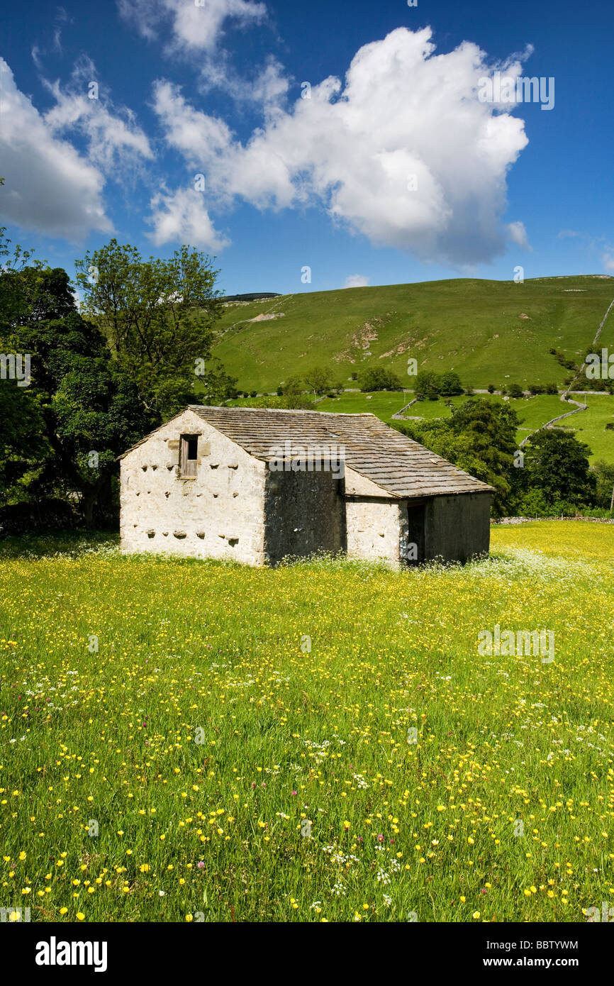 Stein-Scheune unter Sommer wilde Blumen/Heu Wiese in der Nähe von Kettlewell Wharfedale Yorkshire Dales UK Stockfoto