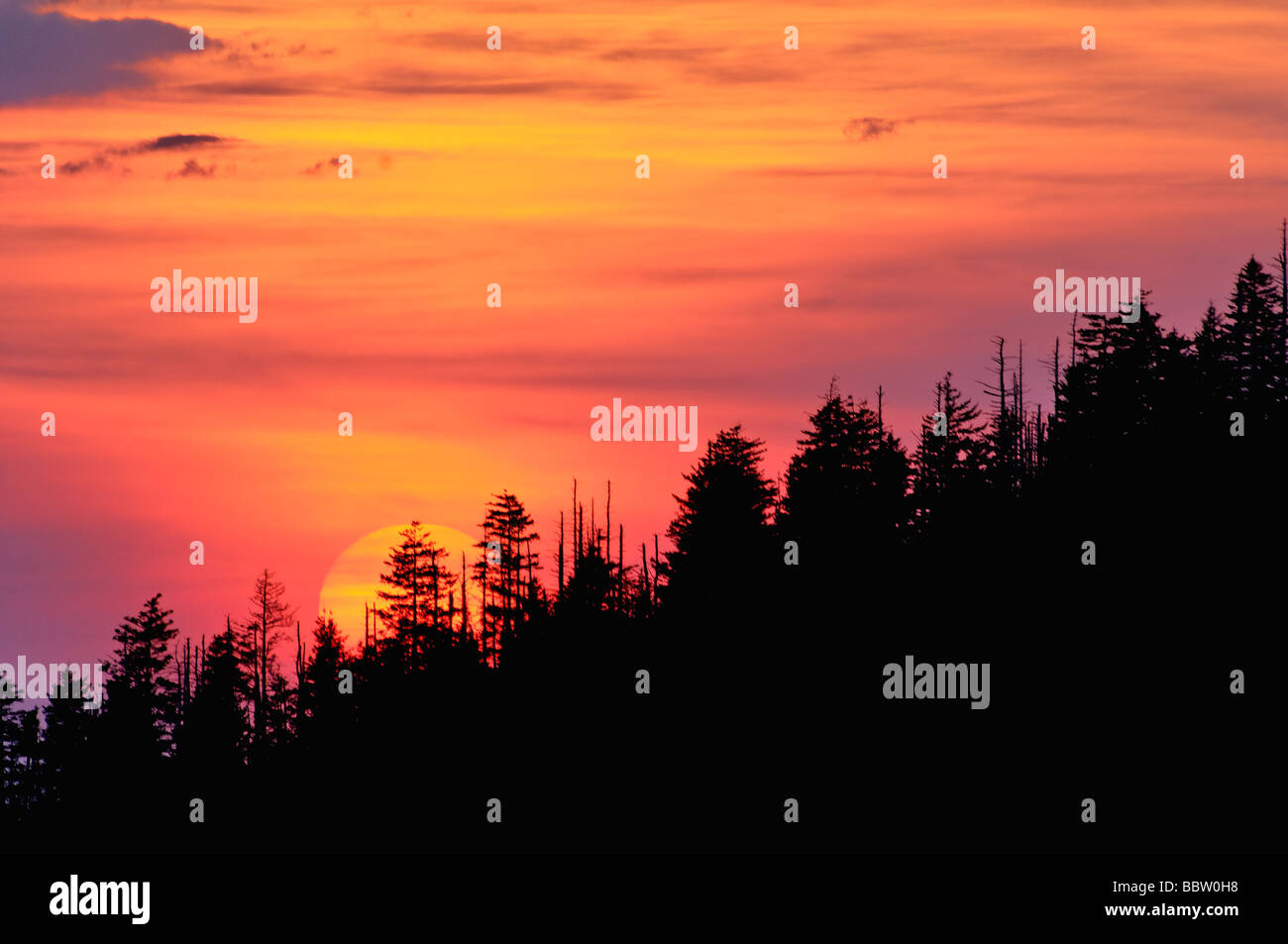 Sonnenuntergang vom Clingman s Dome in der Great-Smoky-Mountains-Nationalpark-Tennessee Stockfoto