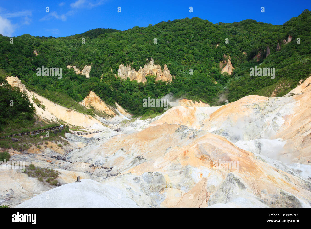 Schneebedeckte Berge mit Bäumen wächst in der Wildnis Stockfoto