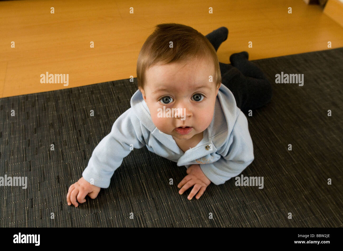 7 Monate alten kriechen Stockfoto