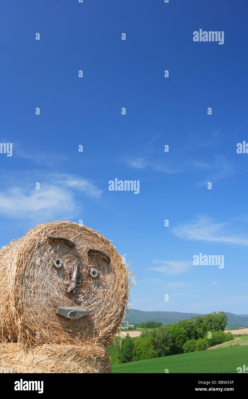 Heuballen gegen blauen Himmel dekoriert Stockfoto