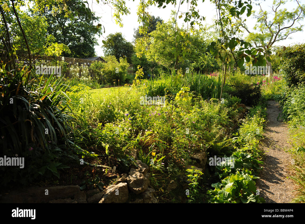 English Garden East Lambrook Manor Gardens, South Petherton Somerset entworfen von Margery Fish Stockfoto