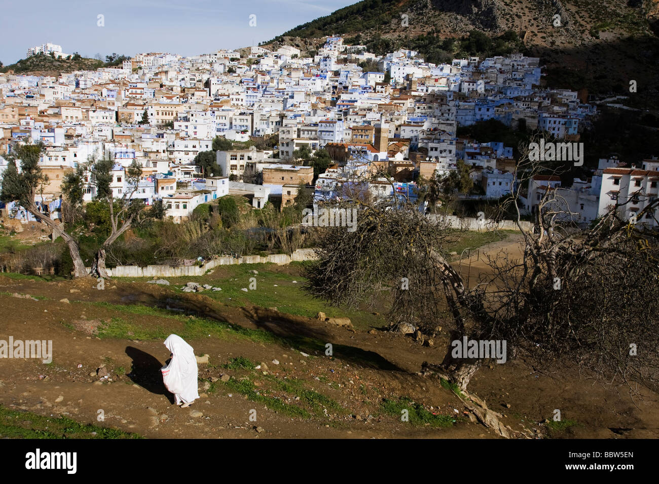 Chefchaouen Marokko Nordafrika Stockfoto