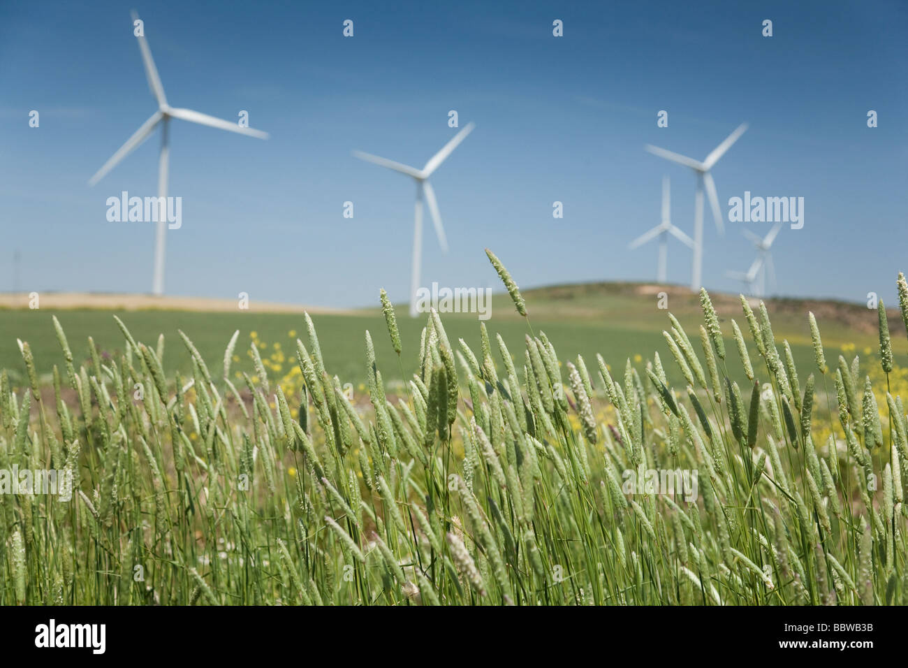 Windmühlen, die umweltfreundliche Stromerzeugung in eine sonnige Landschaft in Andalusien, Spanien Stockfoto