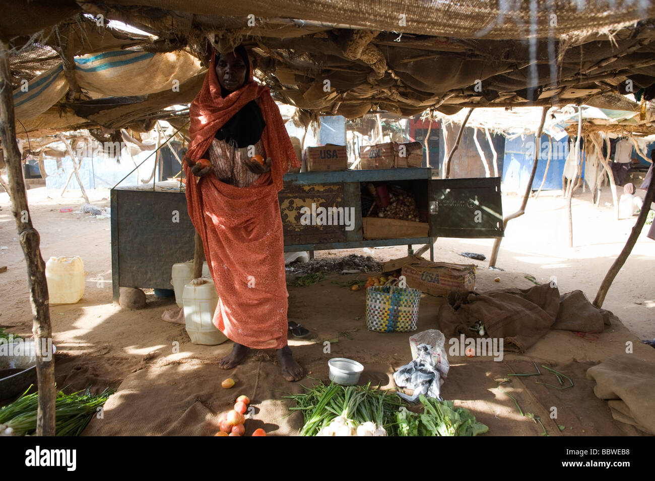 Kalthoum Ibrahim Flamid, 45, Wohnsitz von sechs Jahren in die 4 qkm Abu Shouk Flüchtlingslager Al Fasher, North Darfur, Sudan Stockfoto