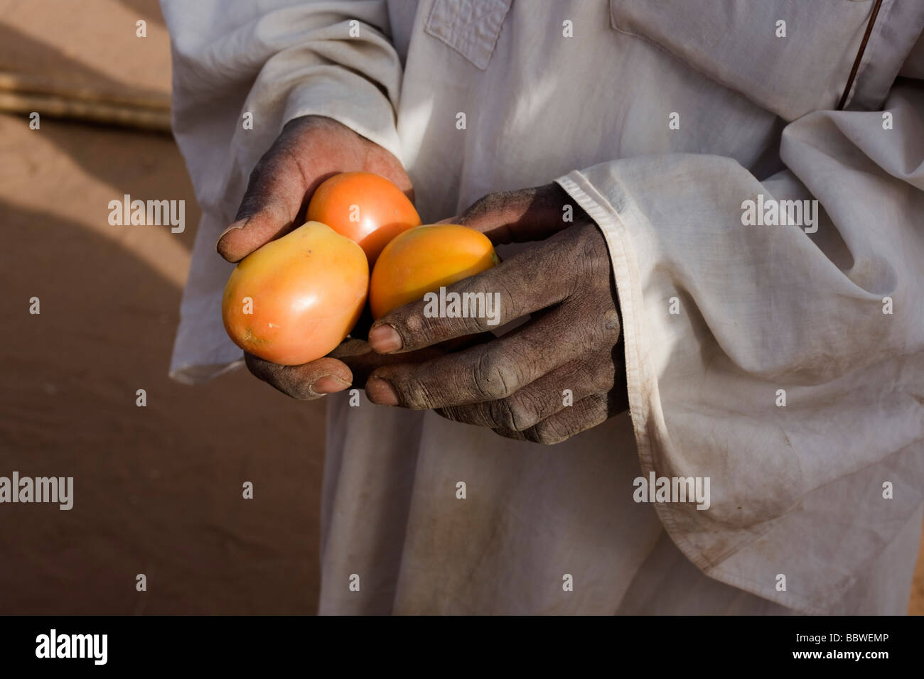 Ein Tomate Verkäufer zeigt seine Frucht in 4 qkm Abu Shouk Flüchtlingslager Al Fasher, North Darfur, Sudan. Stockfoto