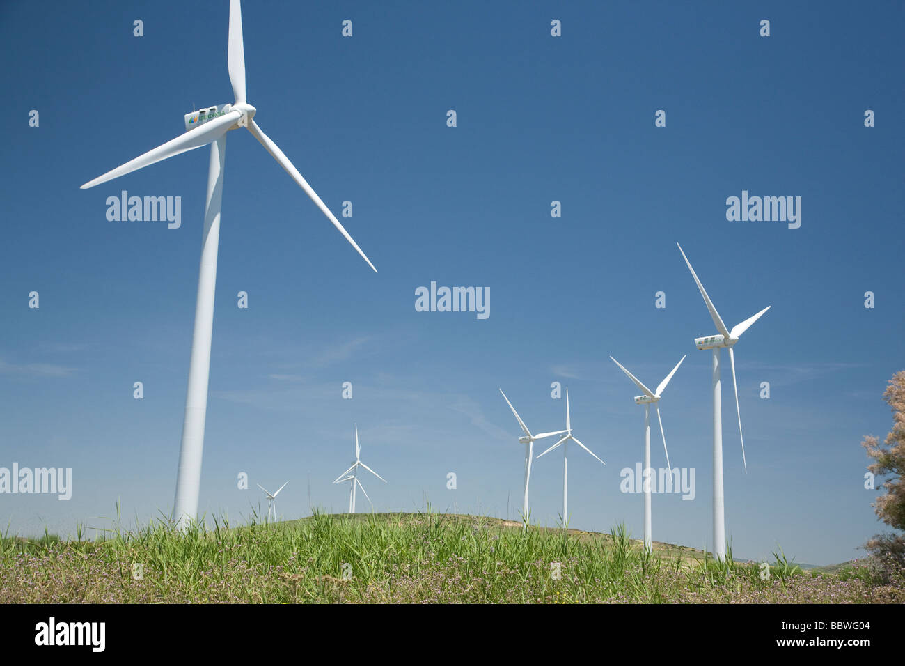 Windmühlen, die umweltfreundliche Stromerzeugung in eine sonnige Landschaft in Andalusien, Südspanien Stockfoto