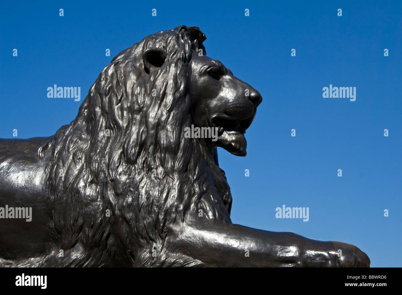 Trafalgar Square Löwe Statue London UK Stockfoto