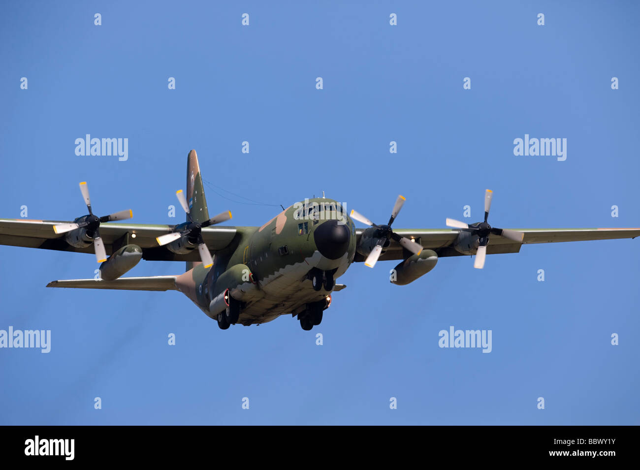 Militärisches Flugzeug c-130 Hercules Stockfoto
