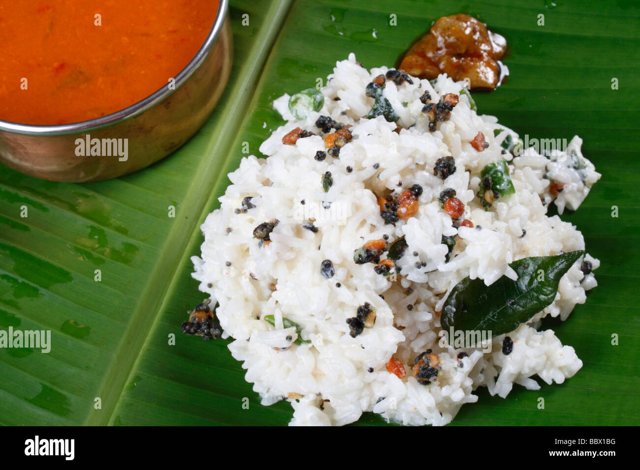 Quark-Reis ist ein Reis gemischt mit Joghurt und Gewürzen Stockfoto