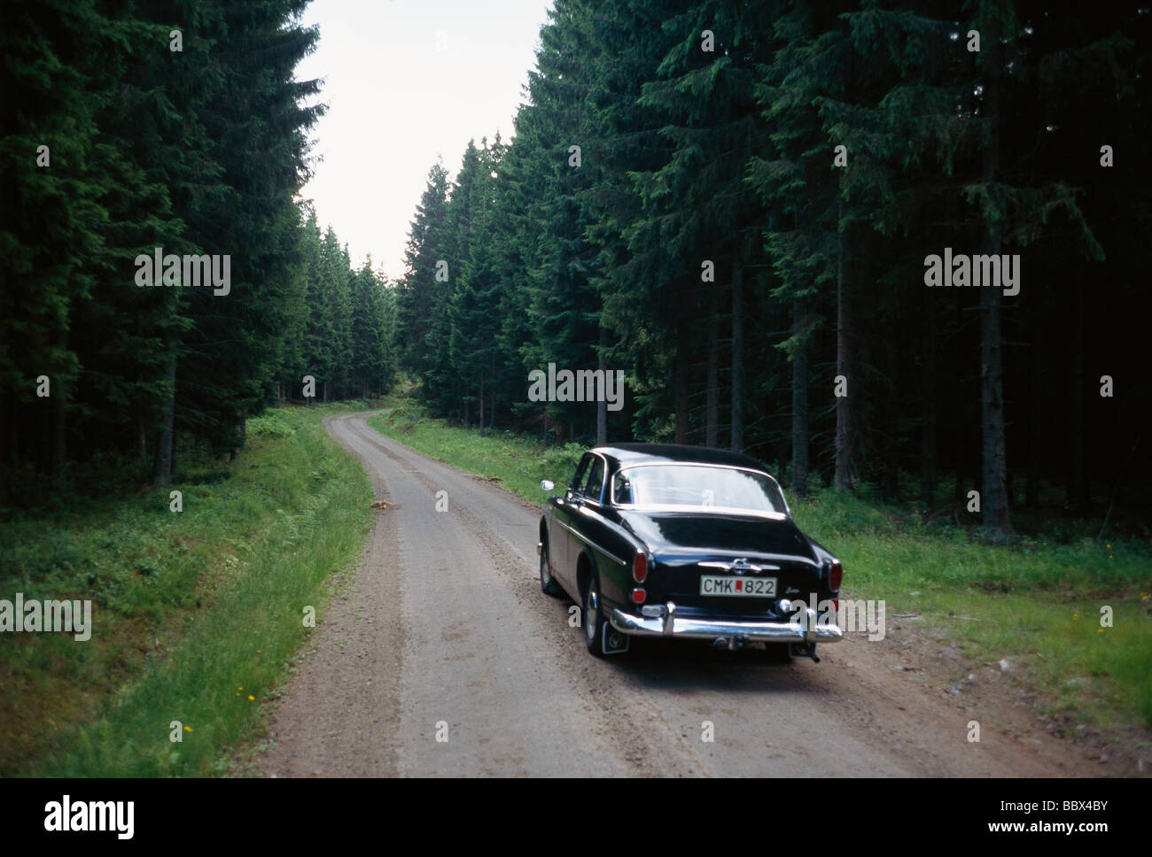 Volvo Amazon auf einem Waldweg Dalarna Schweden. Stockfoto