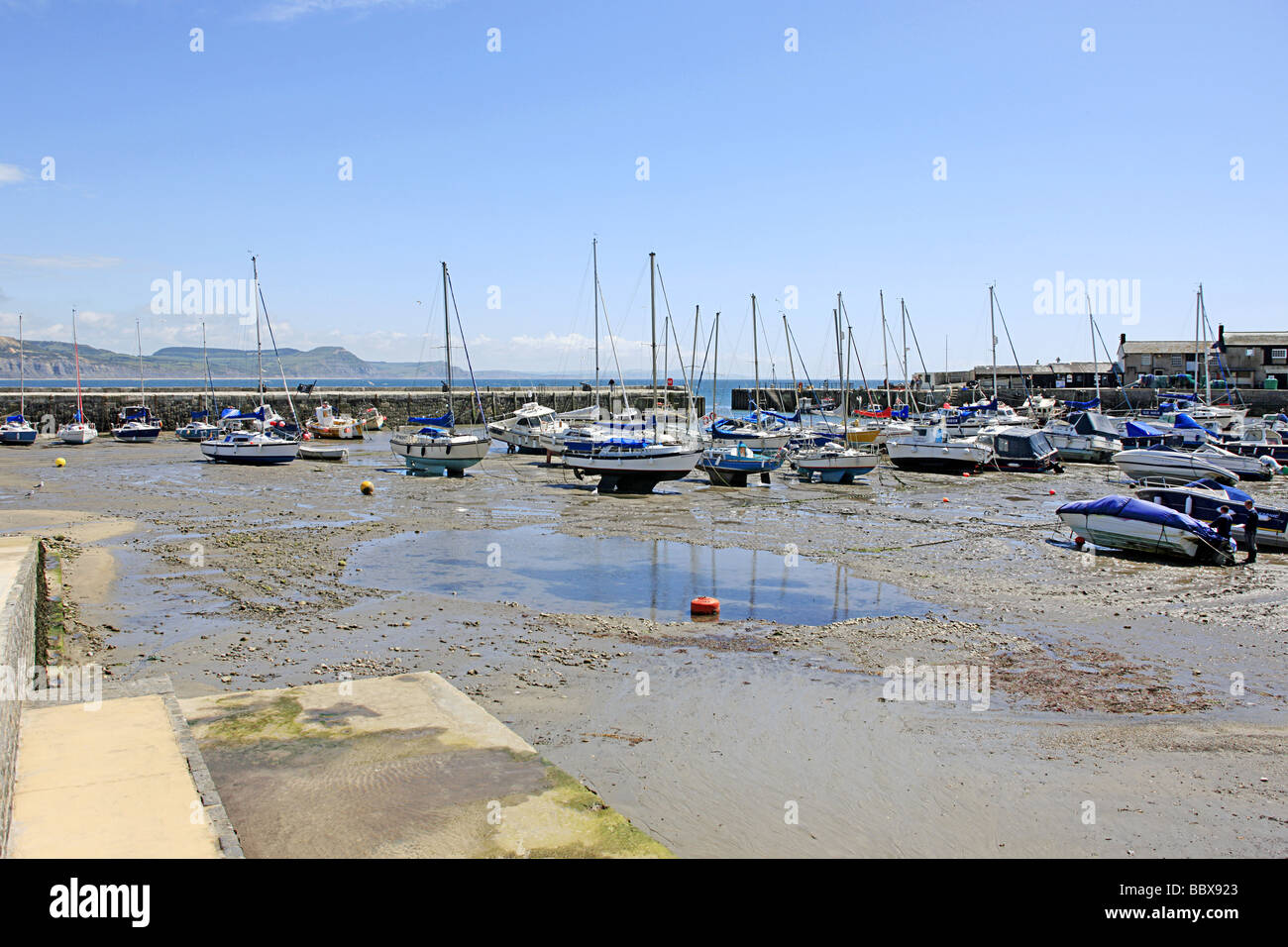 Lyme Regis Hafen Dorset Stockfoto