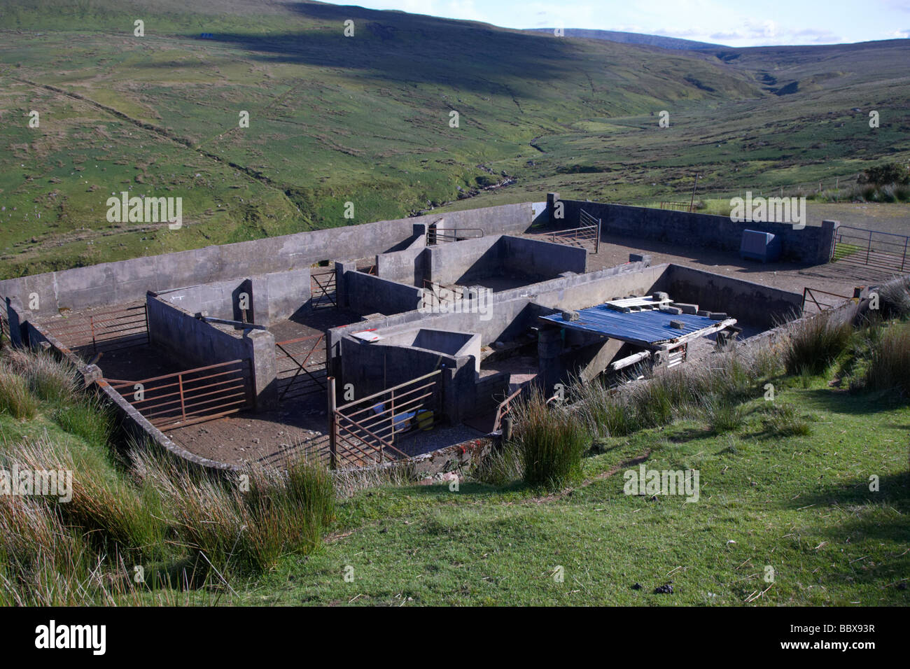 Tauchen Sie Tauchen Schaffarm hoch in den Bergen in Glenaan in den Glens of Antrim County Antrim-Nordirland Vereinigtes Königreich Stockfoto