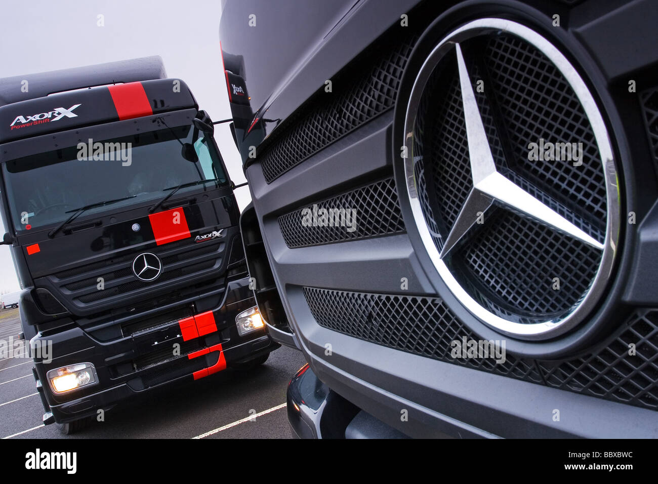 Axor x -Fotos und -Bildmaterial in hoher Auflösung – Alamy