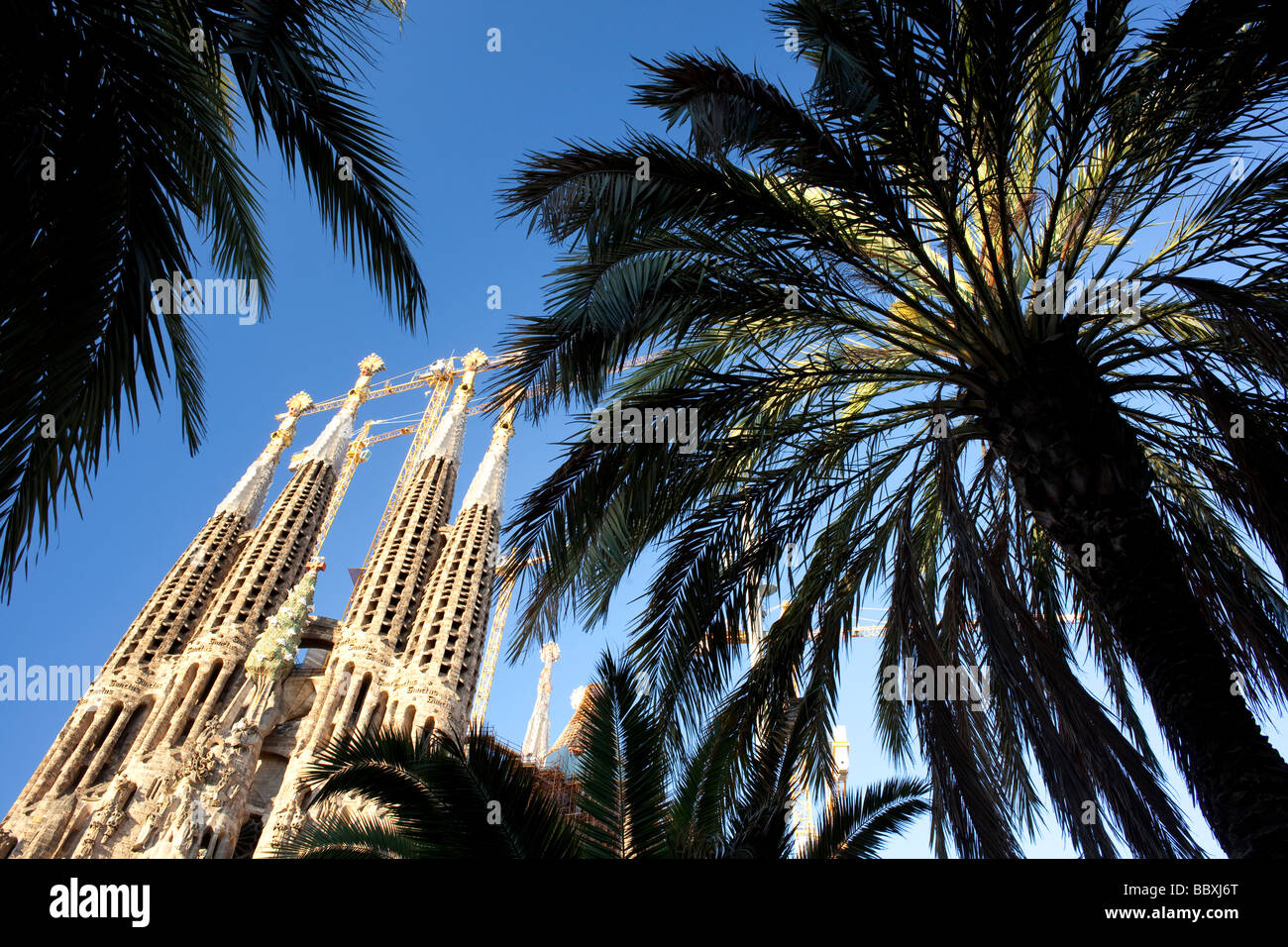Sagrada Familia, Barcelona, Spanien Stockfoto