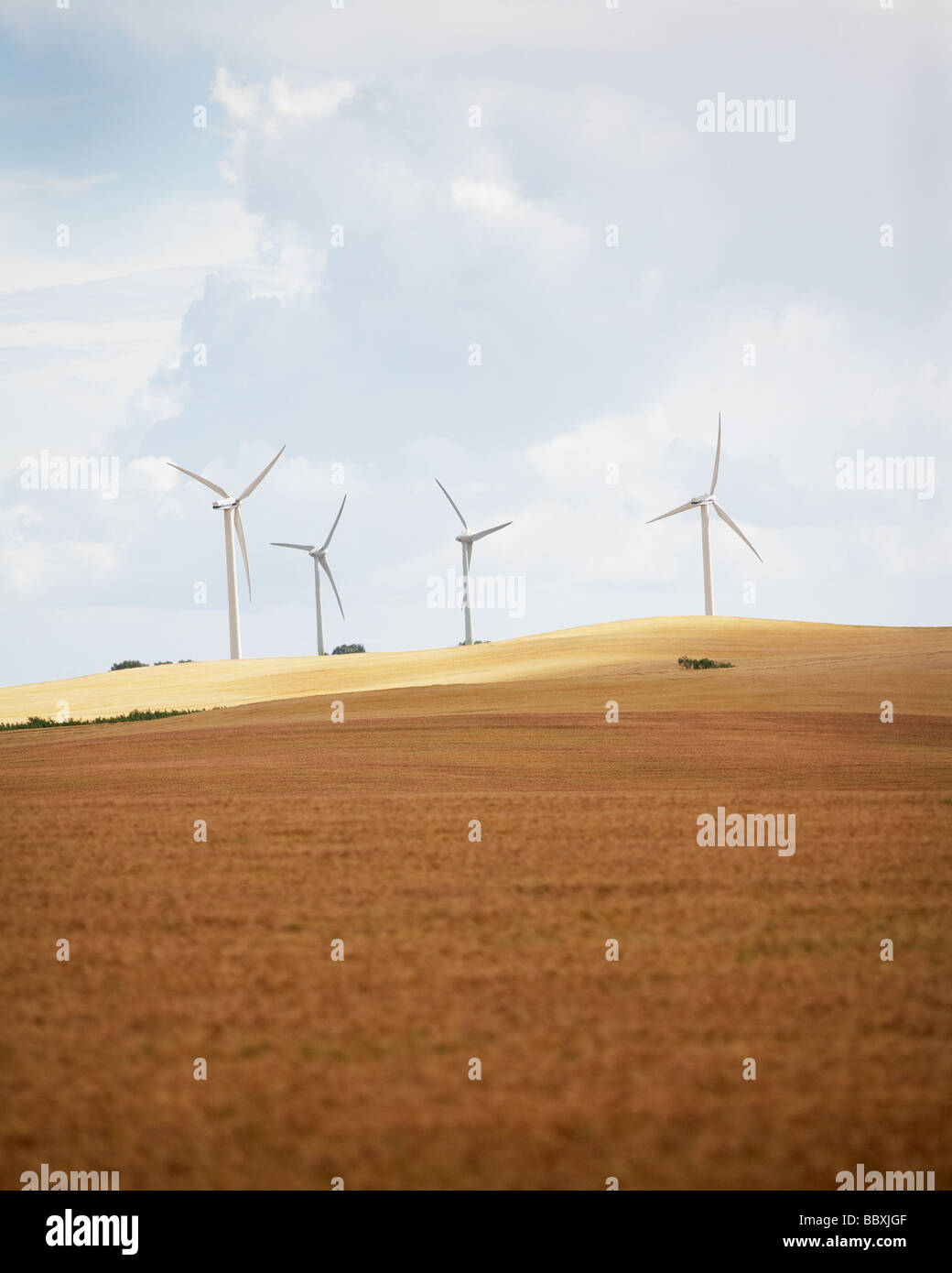 Windkraftanlagen Sie in einem Gebiet Skane Schweden. Stockfoto