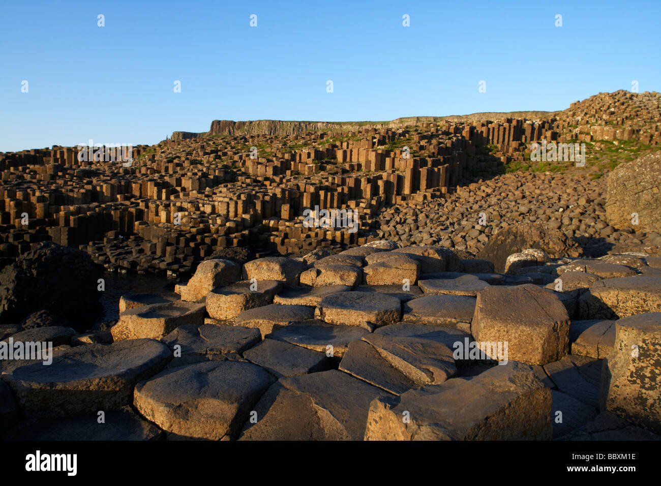 Giants Causeway Grafschaft Antrim Küste Nordirland Großbritannien Europa Stockfoto