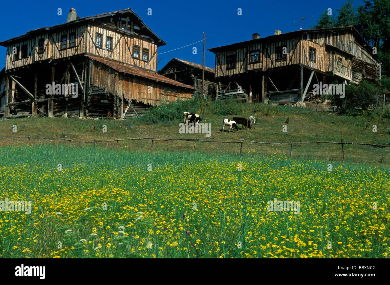 Traditionelle Highland Häuser in Kastamonu Schwarzmeer-Türkei Stockfoto