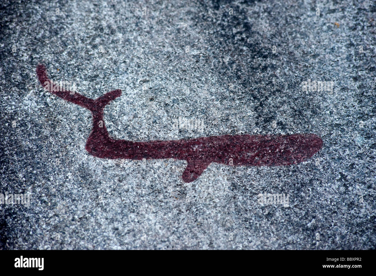 alten Bronzezeit Felsen Schnitzen der Blauwal bei Vitlycke Tanum Flugzeug in Schweden Stockfoto