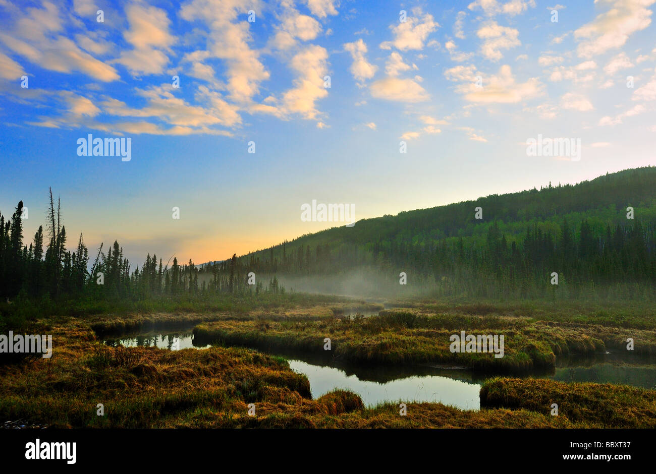 Sonnenaufgang im Park der Schweiz Stockfoto
