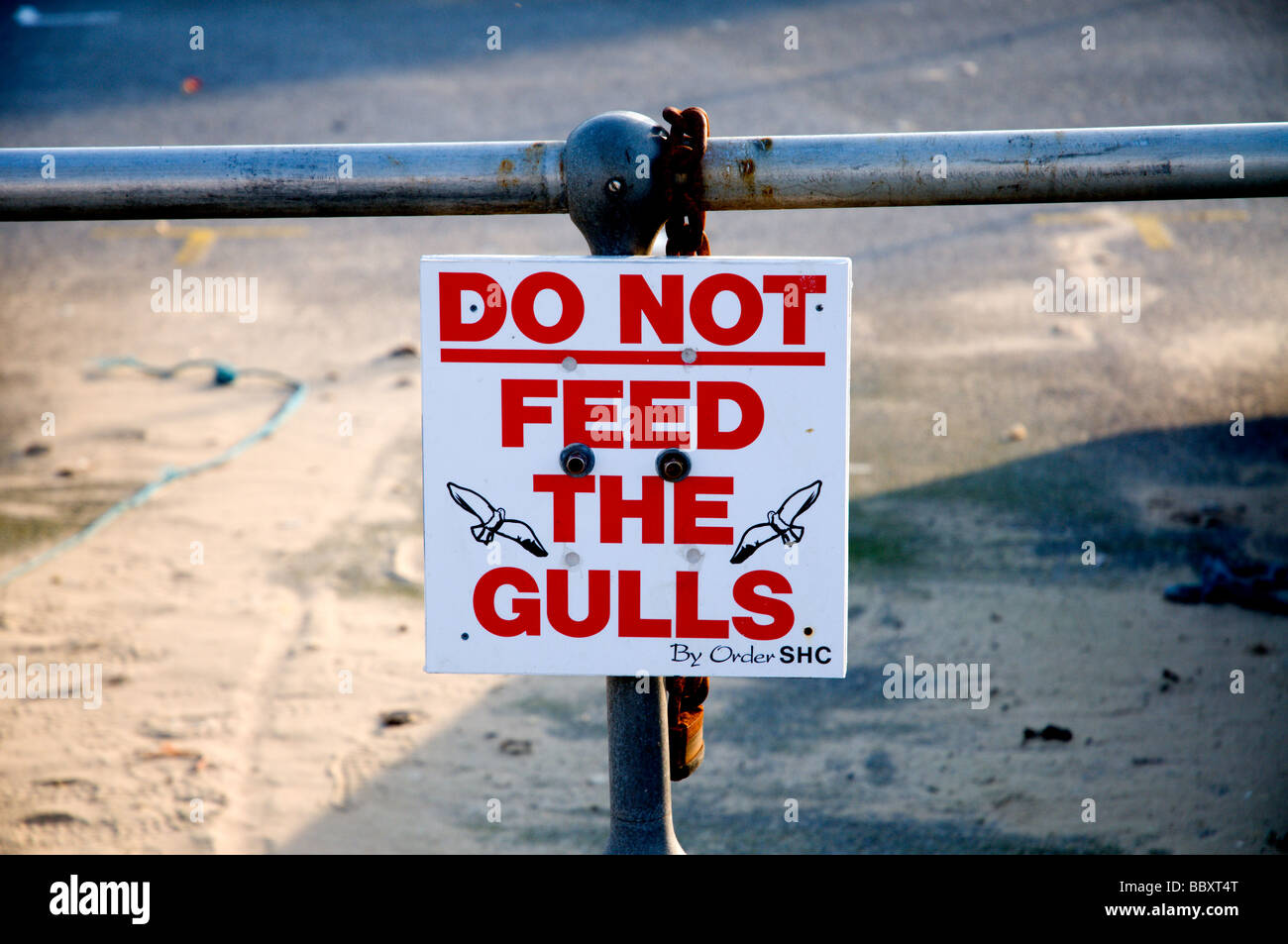 Nicht die Möwen füttern Zeichen. Saundersfoot, Pembrokeshire Stockfoto