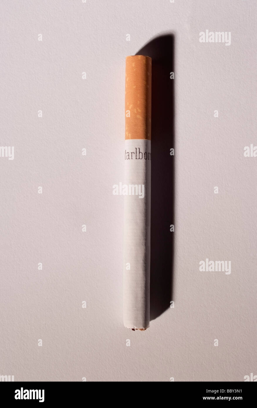 Eine gefilterte Zigarette auf einem hellen Hintergrund. Im Jahr 2009 begann der US-Senat Debatte, so dass die US-Zulassungsbehörde FDA, um Zigaretten zu regulieren Stockfoto