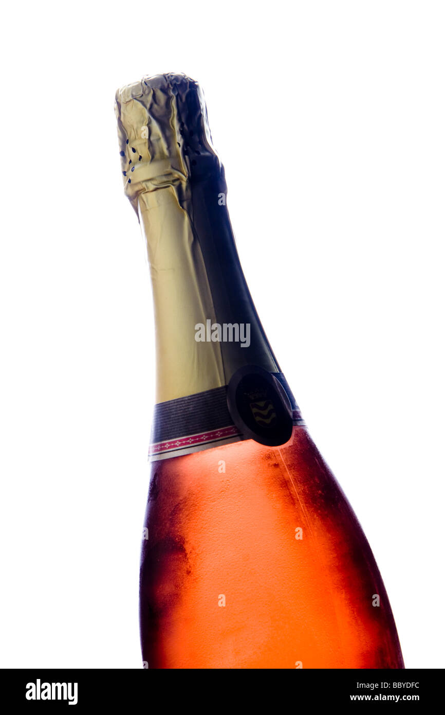 Flasche Champagner Stockfoto